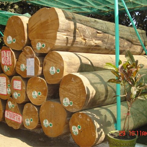 300 size img