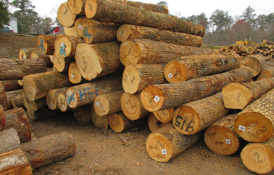 Ash Log Ash Log