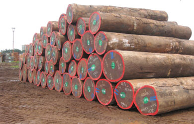 Sapele Logs Sapele Logs