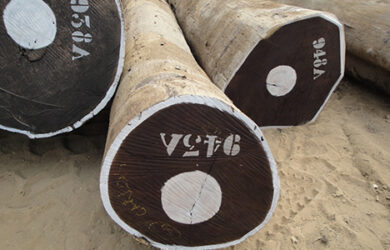 Wenge Logs Wenge Logs