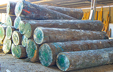 african logs and lumber african logs and lumber